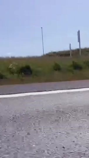 TikTok video thumbnail by ziprixxx