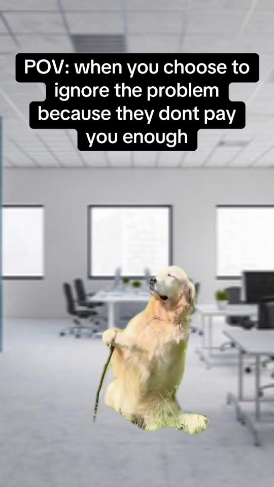 TikTok video thumbnail by office.sarcasm