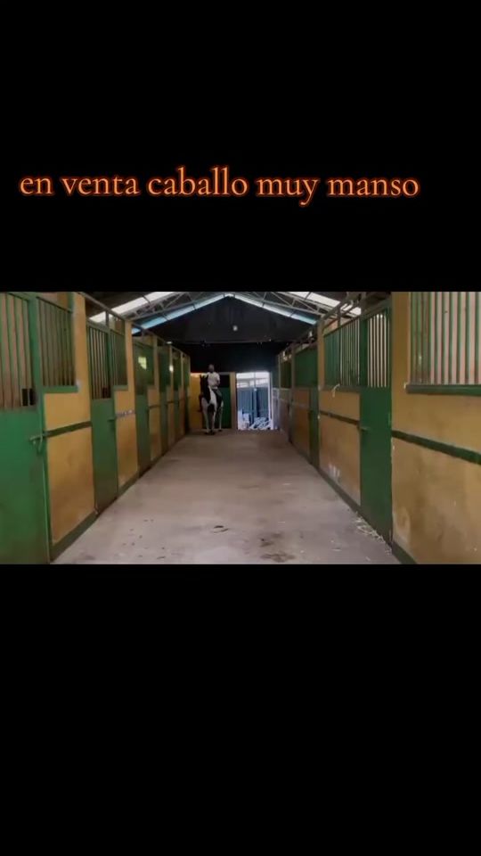 TikTok video thumbnail by castel_jimenez