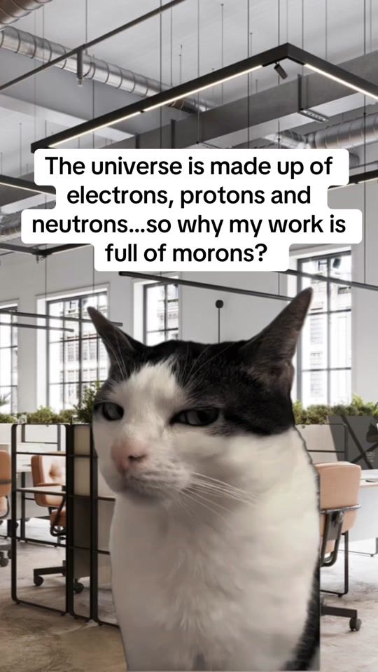 TikTok video thumbnail by theworkmemehub