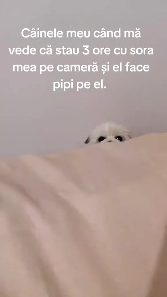 TikTok video thumbnail by timi.videos