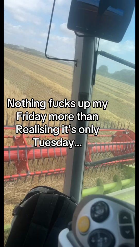 TikTok video thumbnail by dankeal