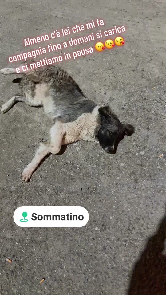 TikTok video thumbnail by alfio709