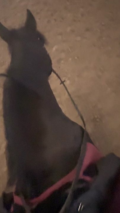 TikTok video thumbnail by leninaa.c