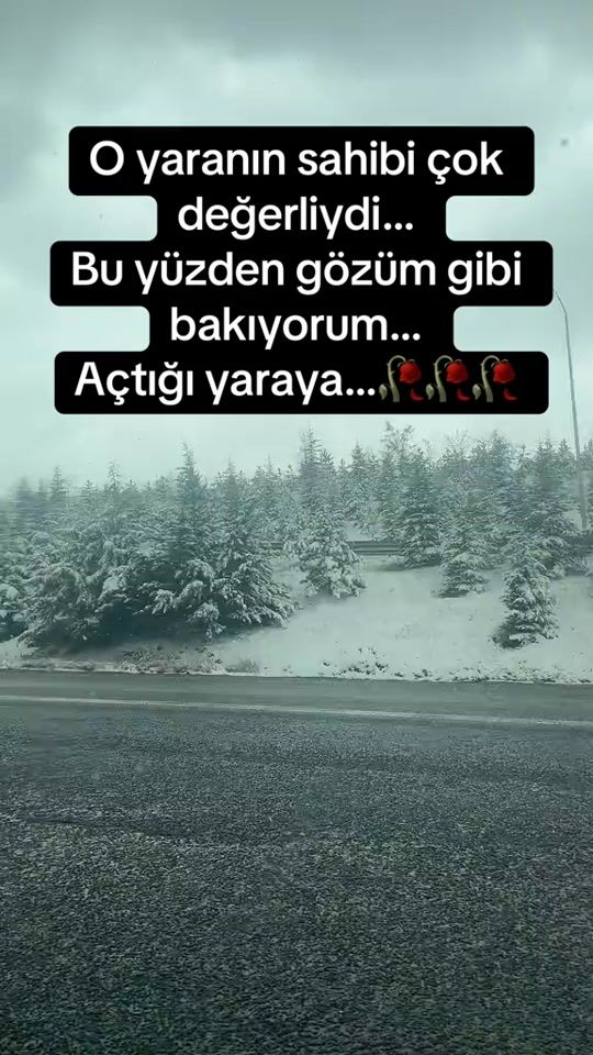 TikTok video thumbnail by __kartanesii___