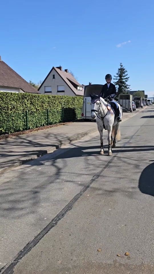 TikTok video thumbnail by skoda_doerte
