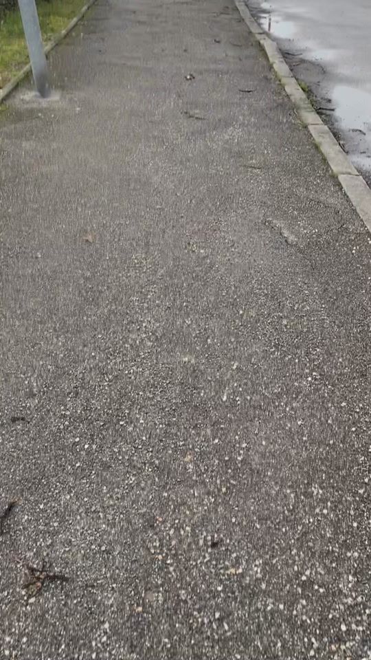 TikTok video thumbnail by renschiii7