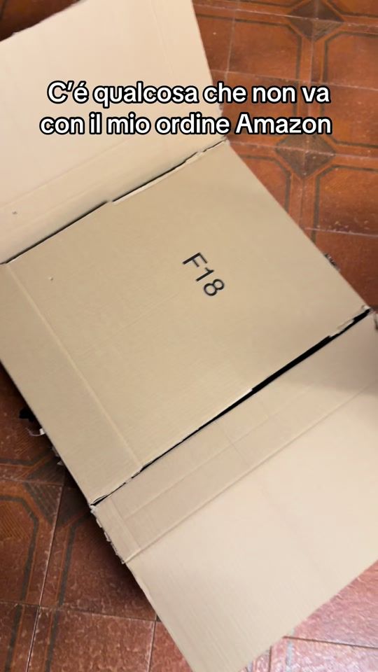 TikTok video thumbnail by raviolo13