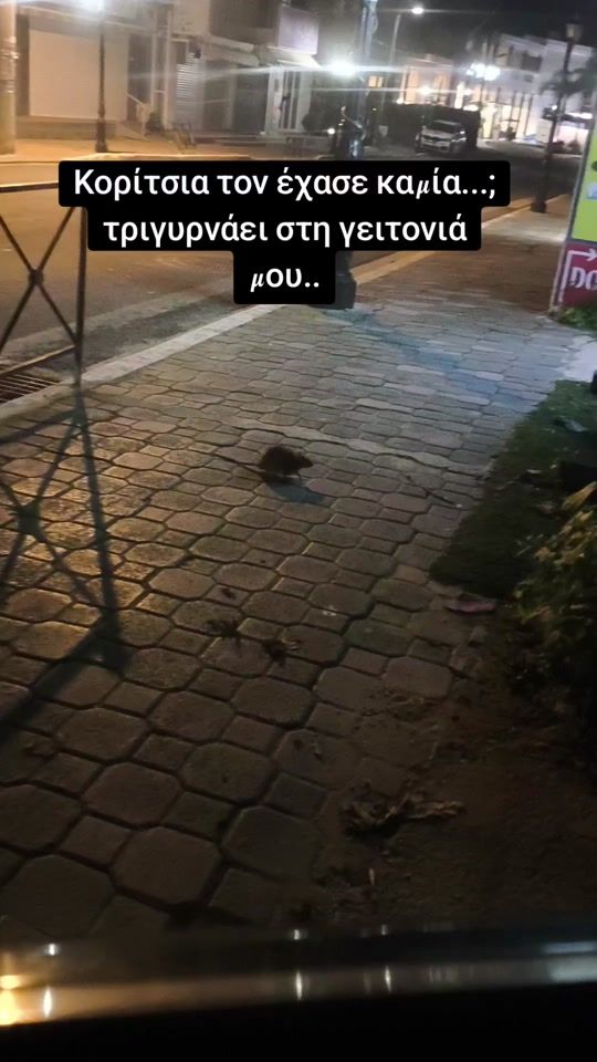 TikTok video thumbnail by natasha_kon
