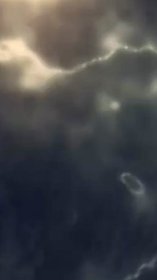 TikTok video thumbnail by white_lion247