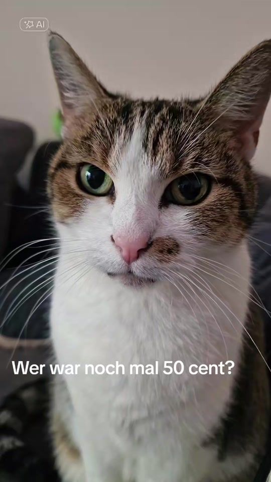 TikTok video thumbnail by die_claudia.._.._.._