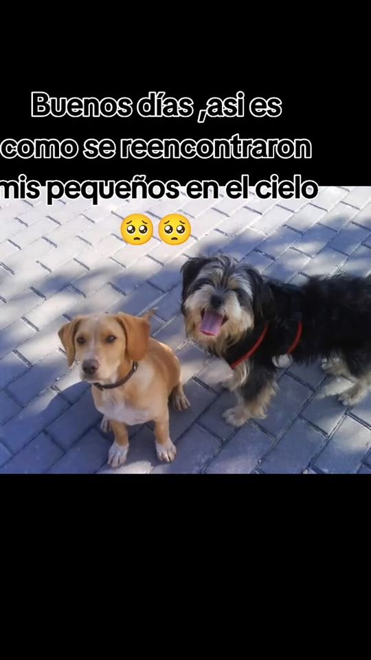 TikTok video thumbnail by marytula8