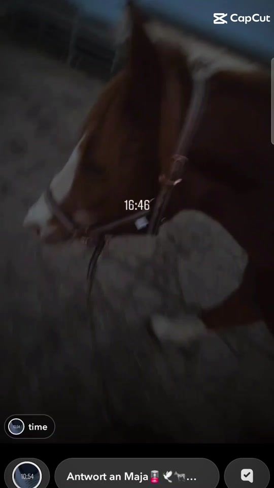 TikTok video thumbnail by maja_pferde1