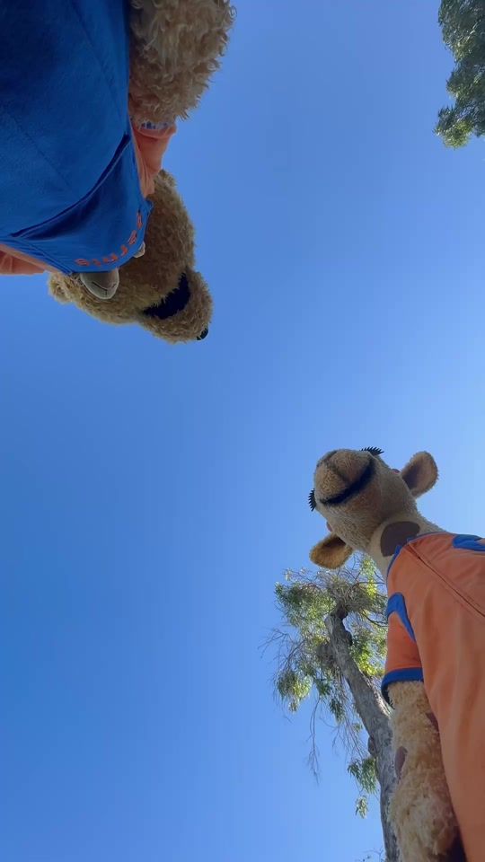 TikTok video thumbnail by ving.sverige