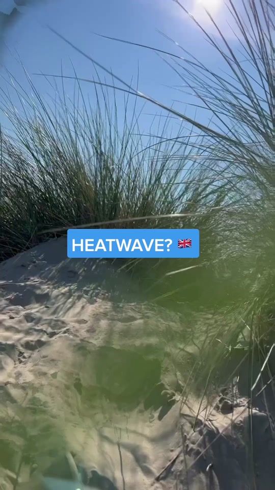 TikTok video thumbnail by havenofficial