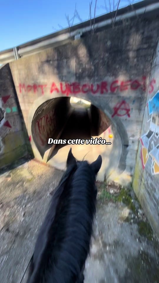 TikTok video thumbnail by mon_poney_pie__