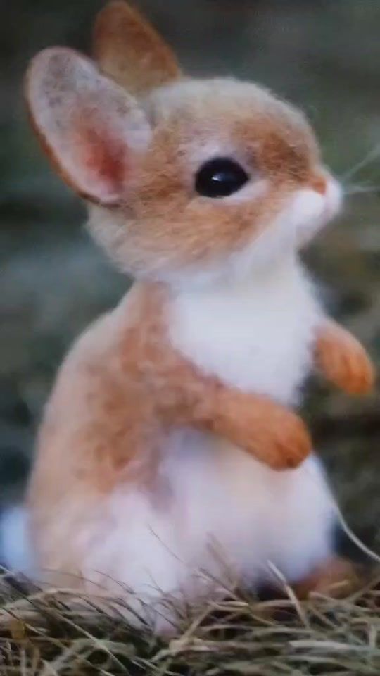 TikTok video thumbnail by ildik.lakatos34