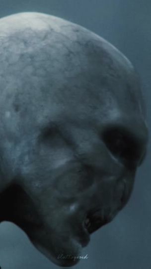 TikTok video thumbnail by blattsqvoid
