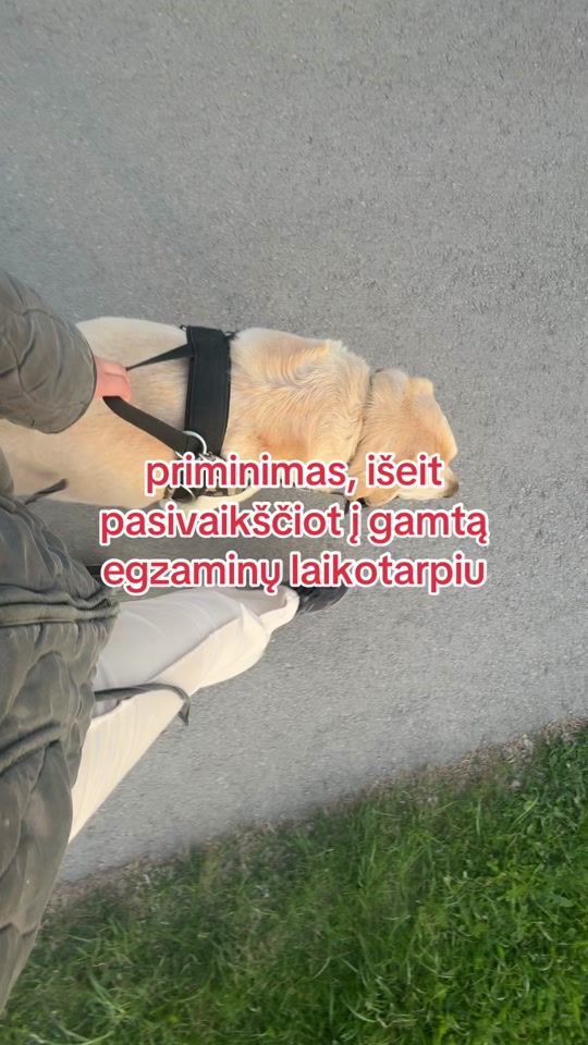 TikTok video thumbnail by kazakaityte