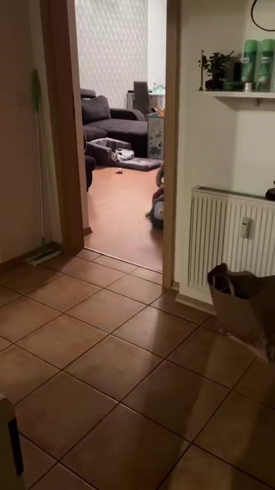 TikTok video thumbnail by timi.videos