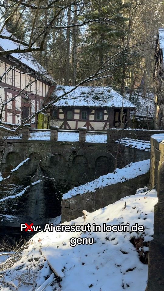 TikTok video thumbnail by mihai_crs