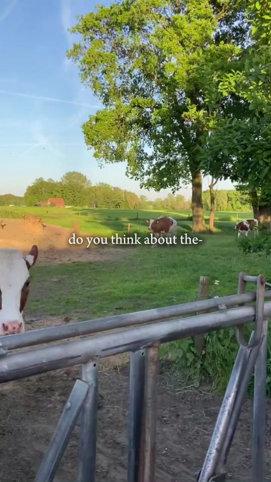 TikTok video thumbnail by brigitte.hengeveld