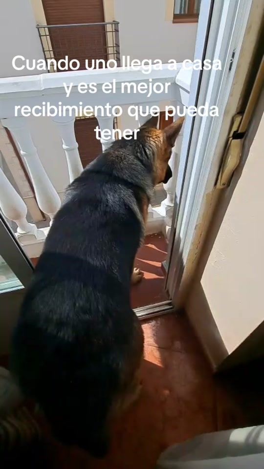 TikTok video thumbnail by emc71eros