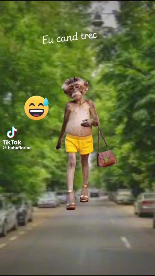 TikTok video thumbnail by laura_laury1