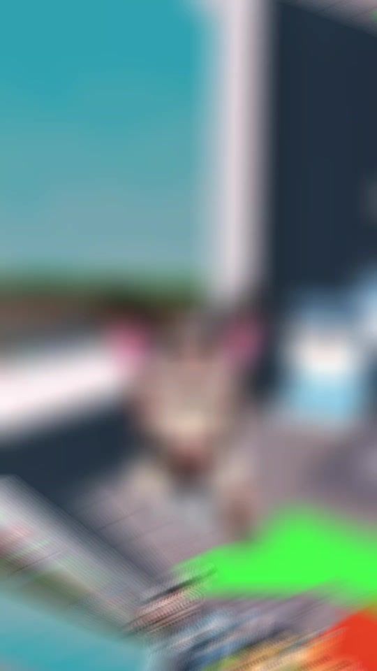 TikTok video thumbnail by noel42560