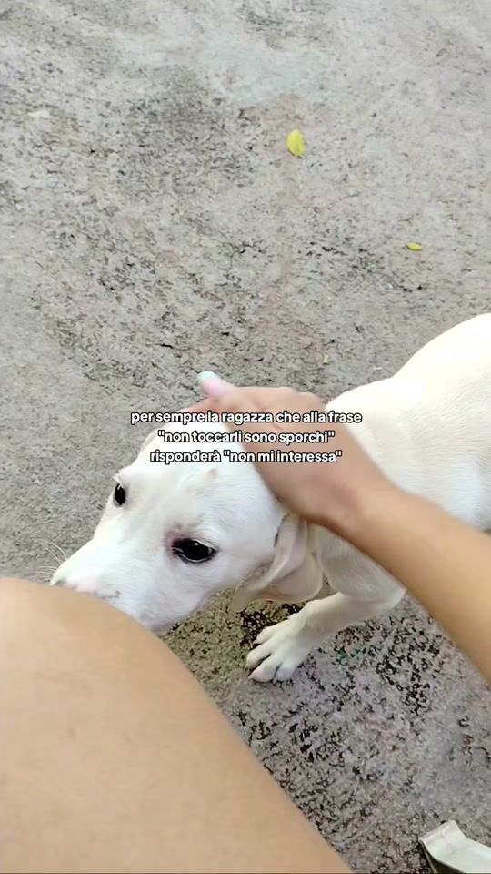 TikTok video thumbnail by lamautypriv