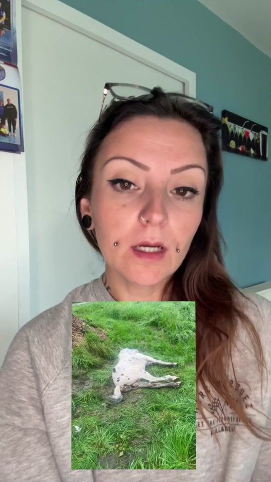 TikTok video thumbnail by mazikeen.73