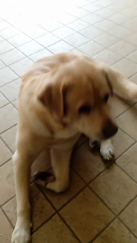 TikTok video thumbnail by antonioserafini09