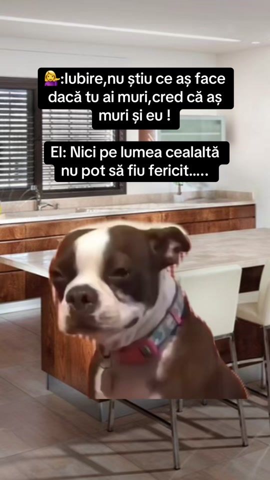 TikTok video thumbnail by miha.ella167