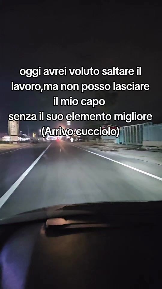 TikTok video thumbnail by barb_luca