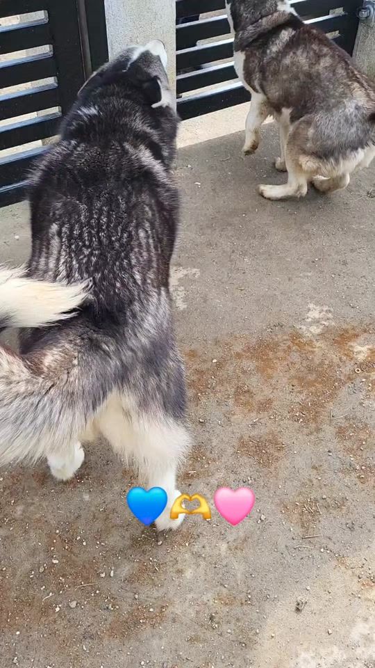 TikTok video thumbnail by miricamonica