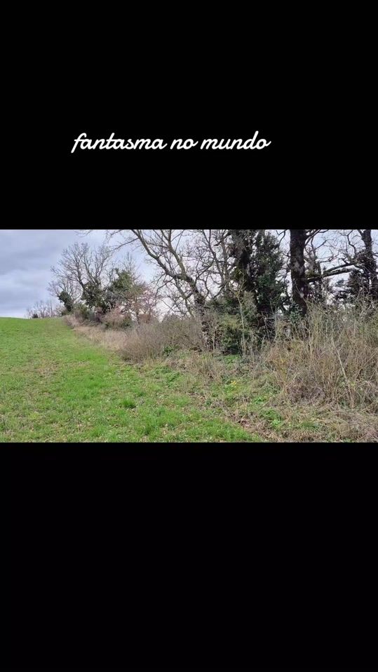 TikTok video thumbnail by kravmaganoextremo2