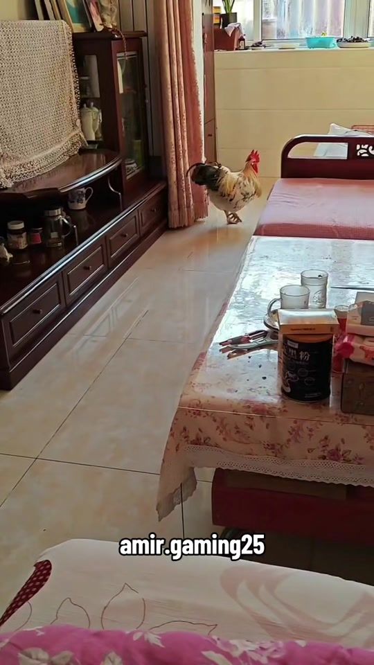 TikTok video thumbnail by amir.gaming25