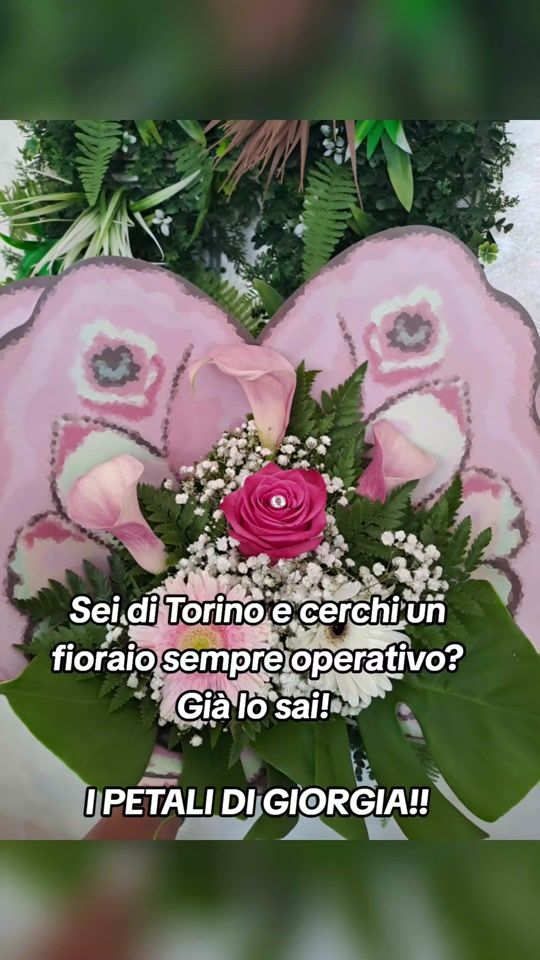 TikTok video thumbnail by ipetalidigiorgia