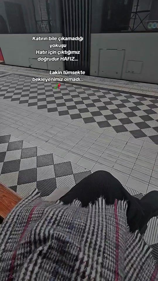 TikTok video thumbnail by seheryeli10.12