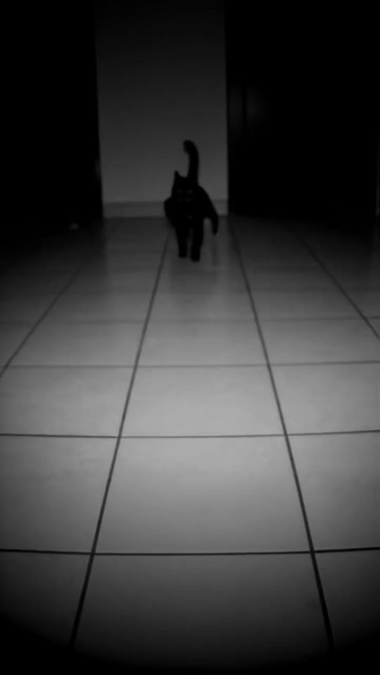 TikTok video thumbnail by ogsyde