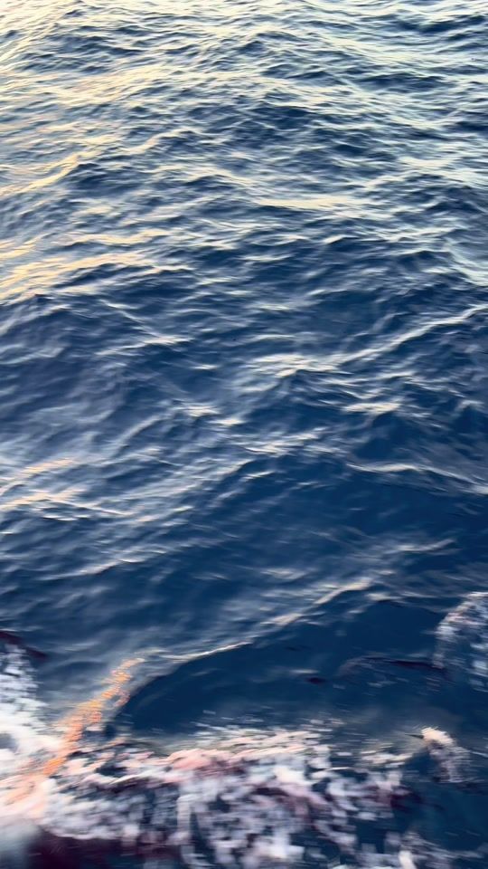 TikTok video thumbnail by bartolomeo645