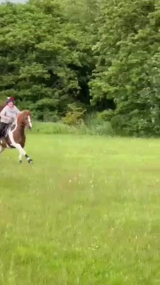 TikTok video thumbnail by marcelinaandemma