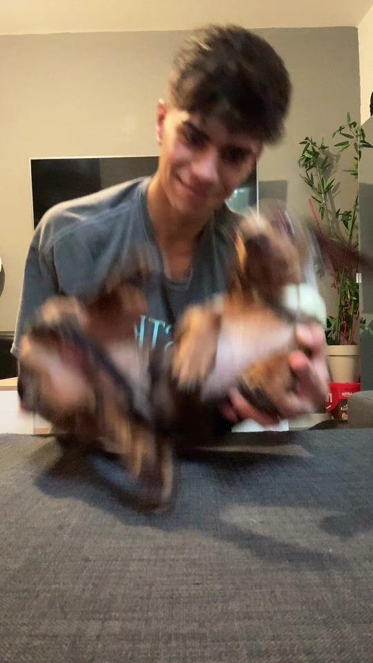 TikTok video thumbnail by franciispadillaa