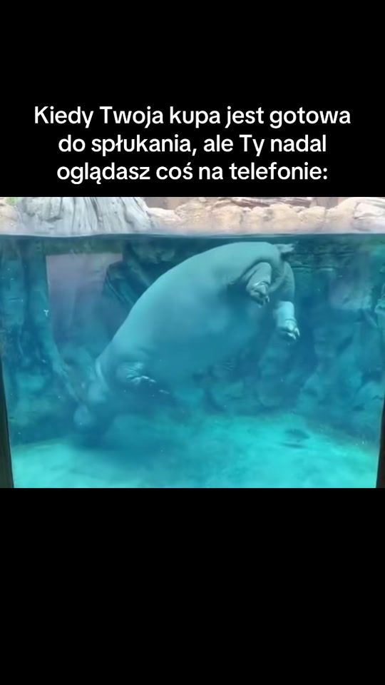 TikTok video thumbnail by sucharcodzienny
