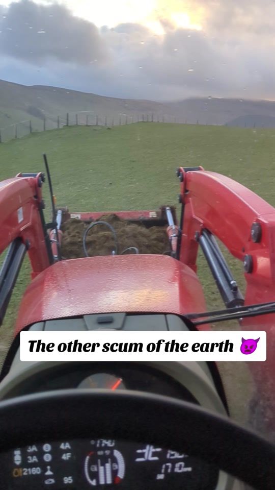 TikTok video thumbnail by dcmwelsh