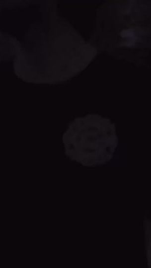 TikTok video thumbnail by vsp.largy