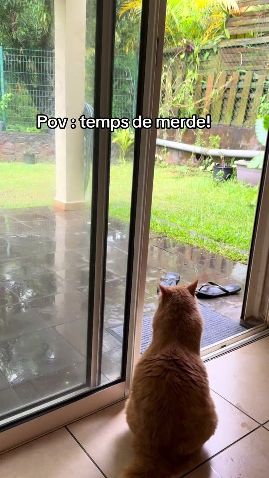 TikTok video thumbnail by claudialavergne82