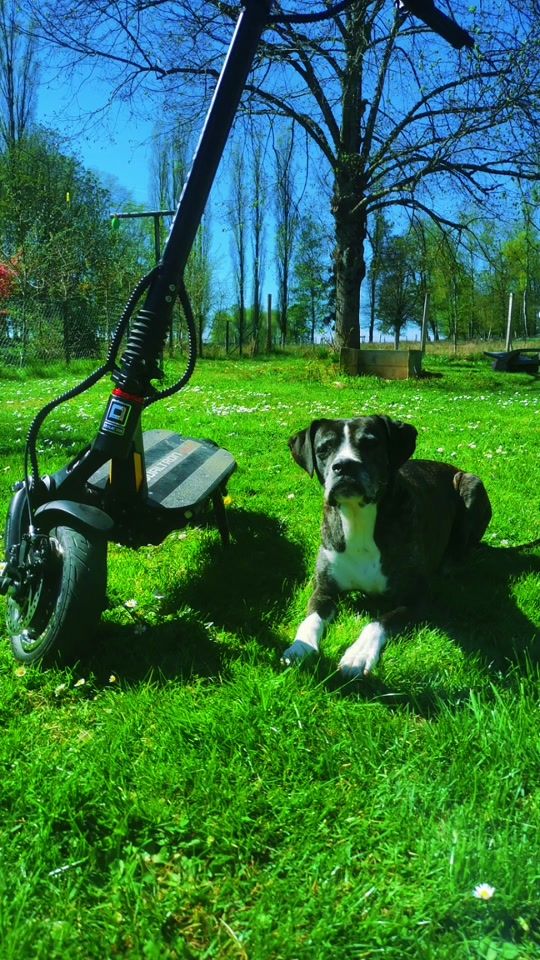 TikTok video thumbnail by dauphinblanc09