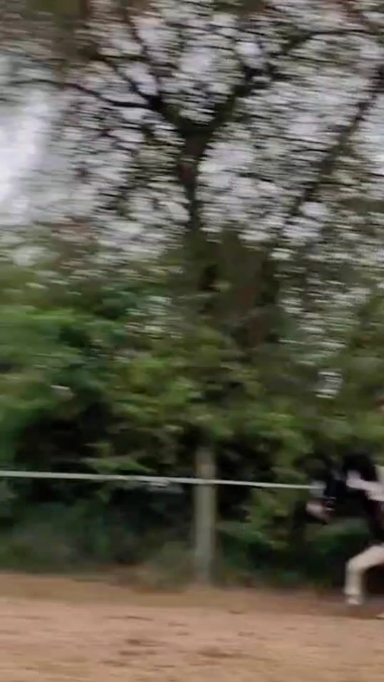 TikTok video thumbnail by pico_hannah