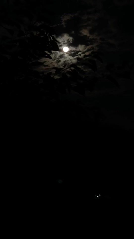 TikTok video thumbnail by ali_l3ukhari